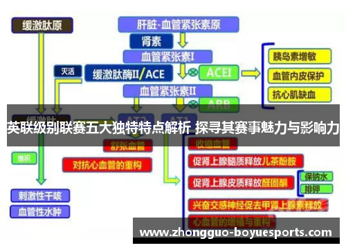 英联级别联赛五大独特特点解析 探寻其赛事魅力与影响力