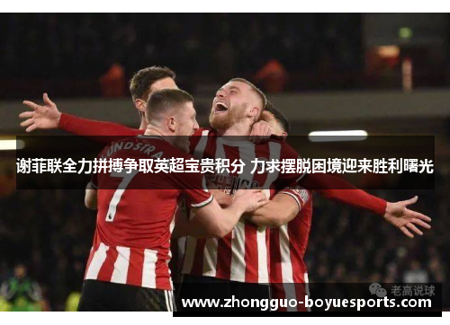 谢菲联全力拼搏争取英超宝贵积分 力求摆脱困境迎来胜利曙光 谢菲联全力拼搏争取英超宝贵积分 力求摆脱困境迎来胜利曙光
