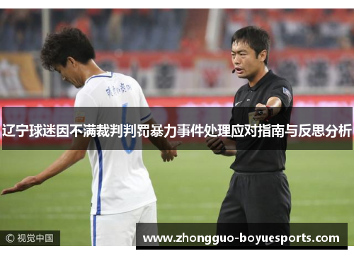 辽宁球迷因不满裁判判罚暴力事件处理应对指南与反思分析