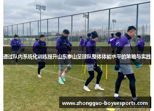 通过队内系统化训练提升山东泰山足球队整体体能水平的策略与实践