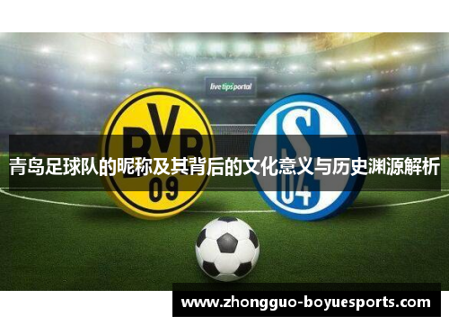 青岛足球队的昵称及其背后的文化意义与历史渊源解析